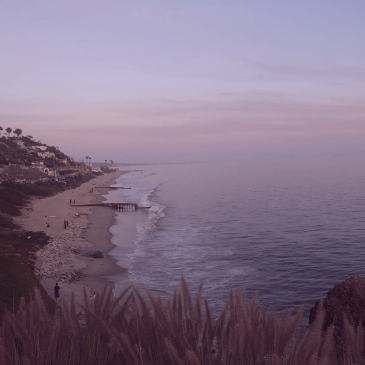 a brief metaphysical&nbsp;manifesto