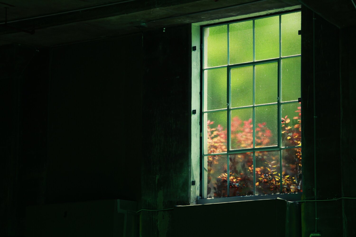 Processed with VSCO with nc preset