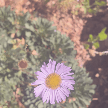 creativity as a personal&nbsp;exploration