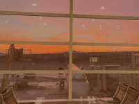 my 20 travel&nbsp;essentials